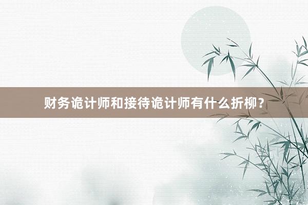 财务诡计师和接待诡计师有什么折柳？