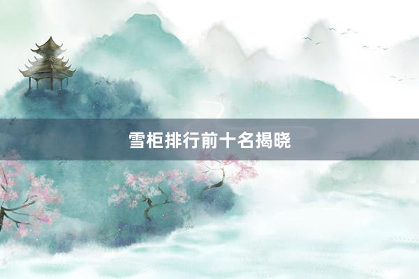 雪柜排行前十名揭晓