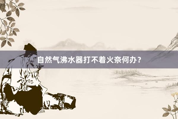 自然气沸水器打不着火奈何办？