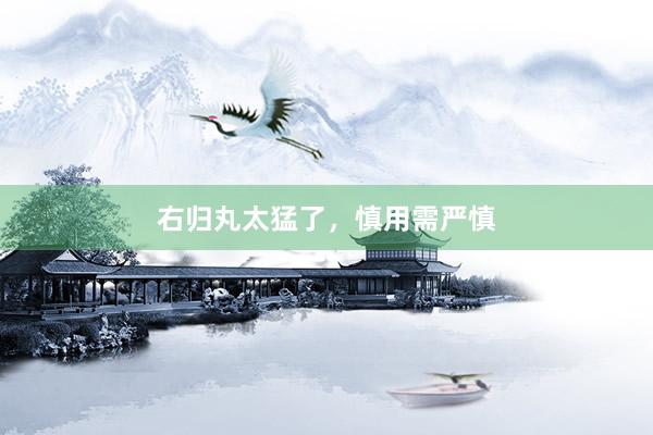 右归丸太猛了，慎用需严慎