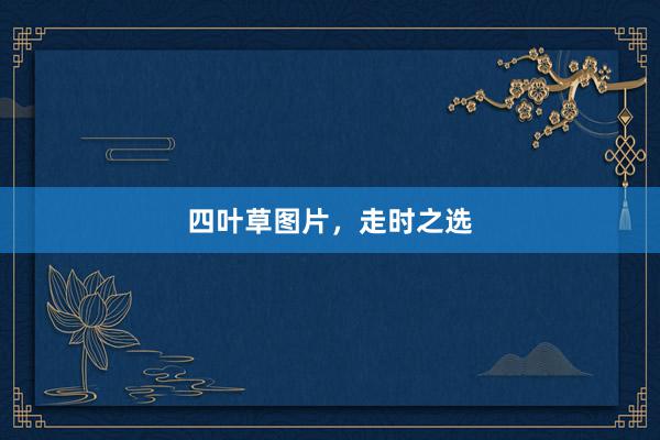 四叶草图片，走时之选