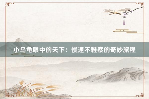 小乌龟眼中的天下：慢速不雅察的奇妙旅程